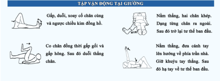 image506-1 image506 1